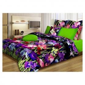 Ирисы Ирисы